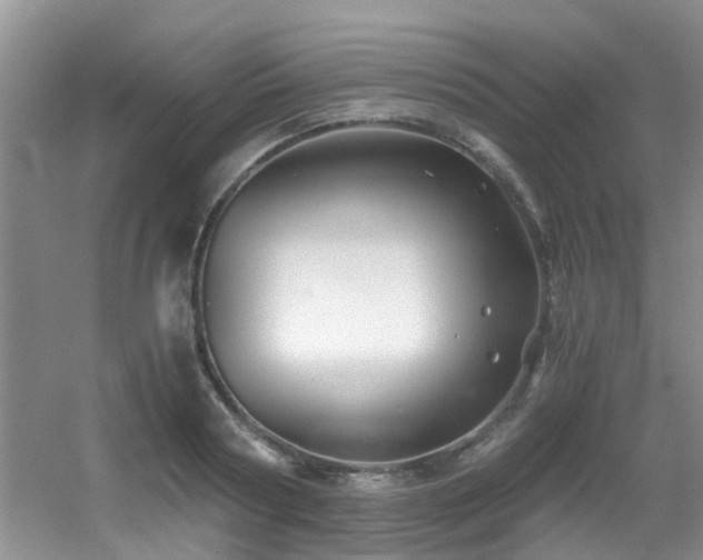 X0000056020794200508221519