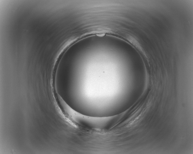 X0000056020797200508221519