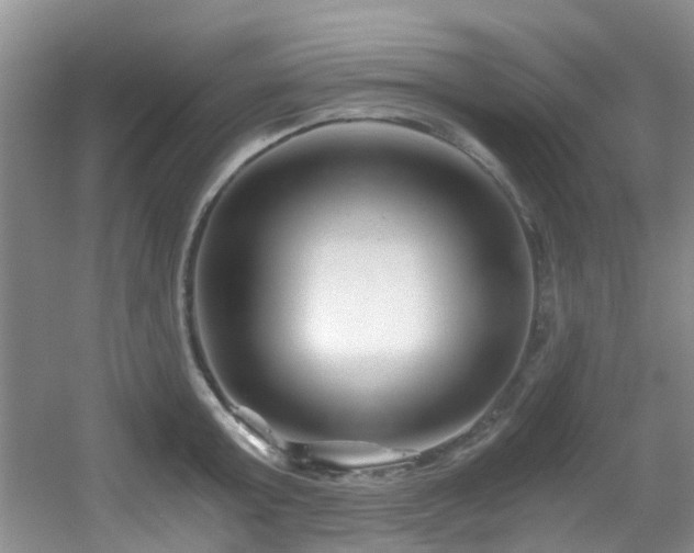 X0000056020803200508221519