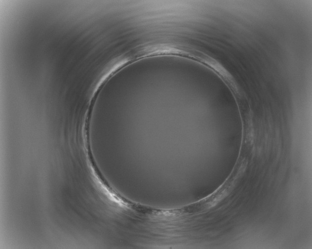 X0000056020806200508221519