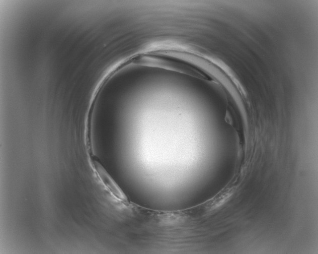 X0000056020815200508221519