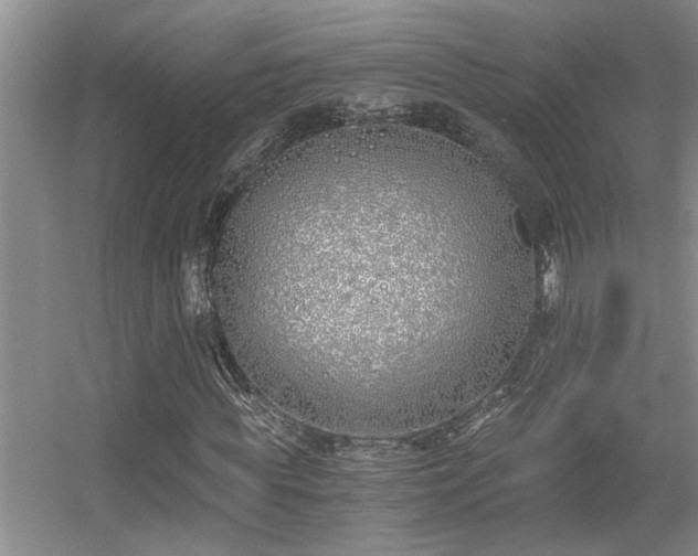 X0000056020819200508221518