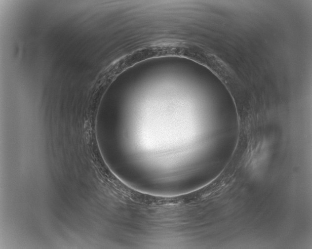 X0000056020821200508221518
