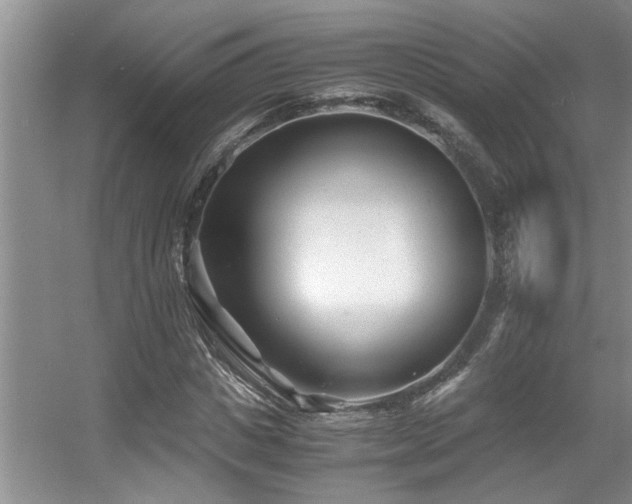 X0000056020825200508221518