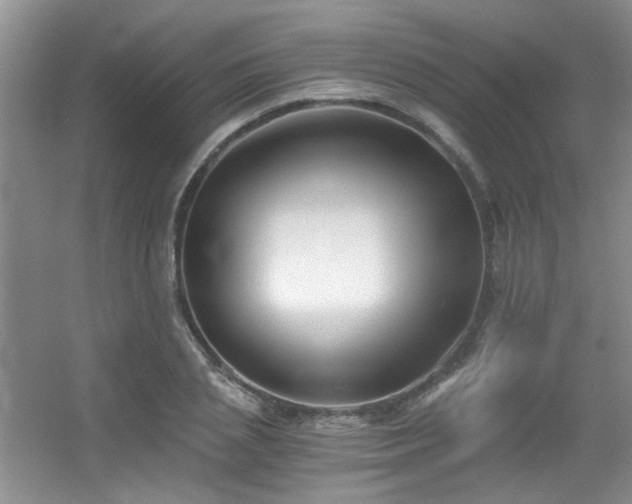 X0000056020837200508221518