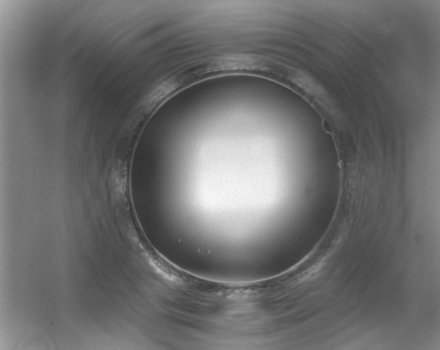 X0000056020841200508221518