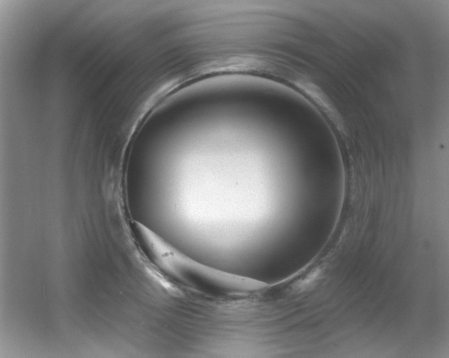 X0000056020850200508221519