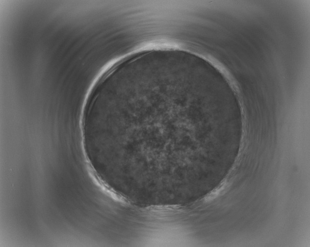 X0000056020864200508221519