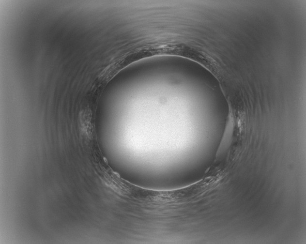 X0000056020867200508221518