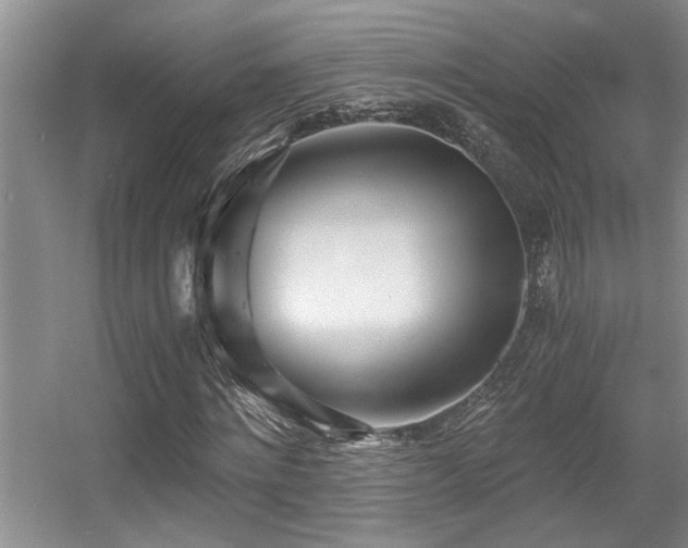 X0000056020868200508221518