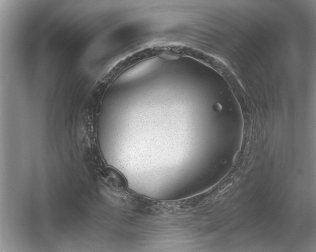 X0000056020871200508221518