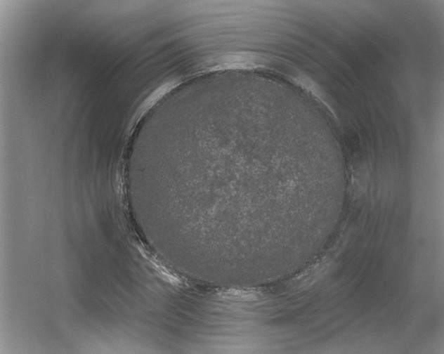 X0000056020874200508221518