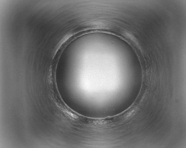X0000056020875200508221518