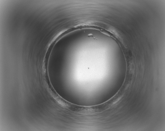X0000056020885200508221518