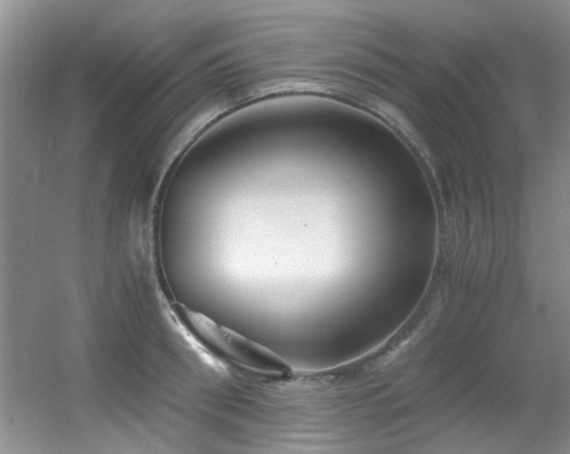 X0000056020898200508221517