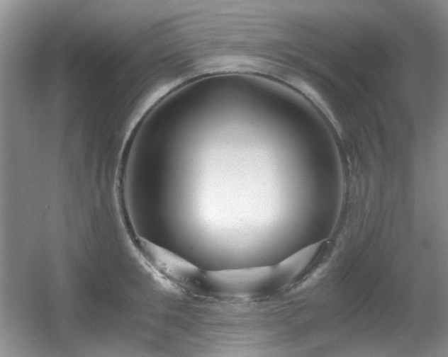 X0000056020901200508221517
