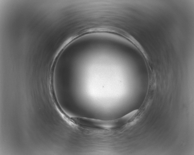 X0000056020909200508221517