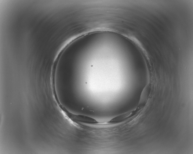 X0000056020910200508221517