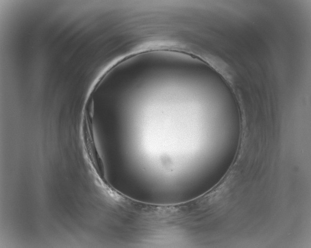 X0000056020912200508221517