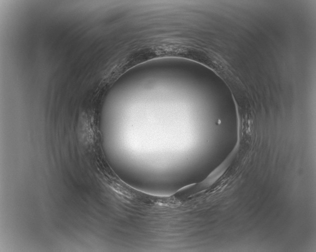X0000056020915200508221516