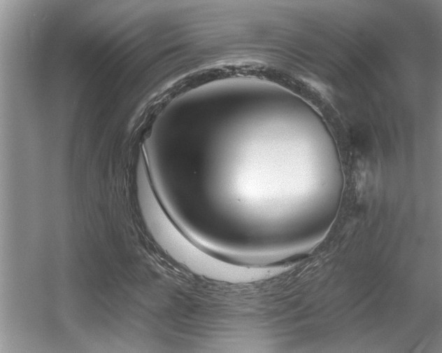 X0000056020920200508221517