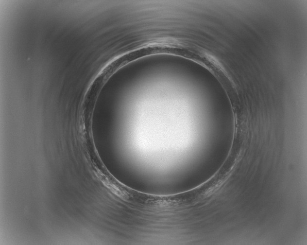 X0000056020923200508221517