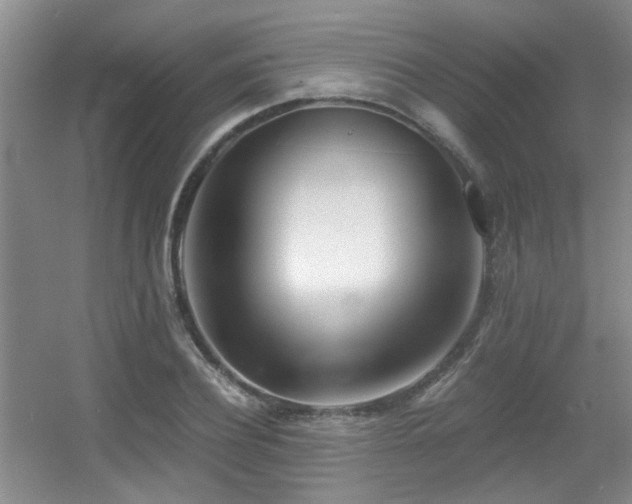 X0000056020932200508221517