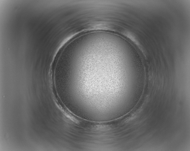 X0000056020933200508221517