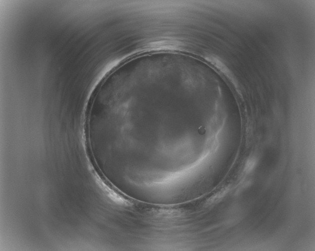 X0000056020941200508221517