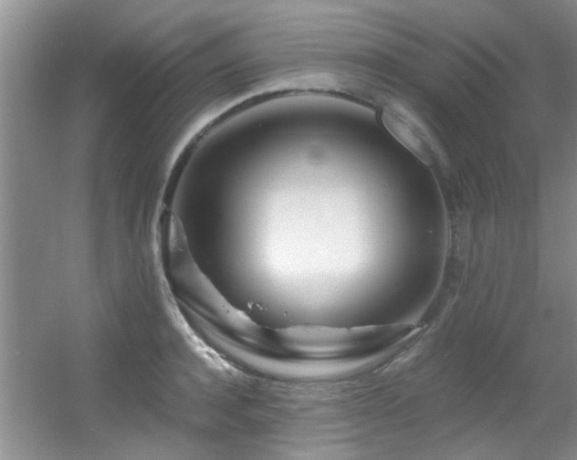X0000056020944200508221517