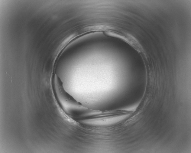 X0000056020946200508221517