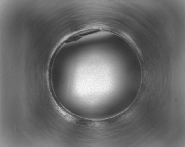 X0000056020947200508221517