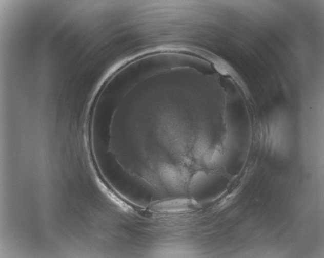 X0000056020958200508221517