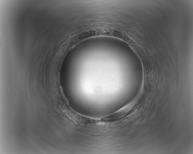 X0000056020961200508221516