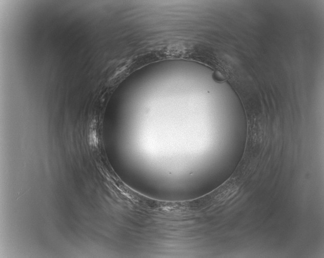 X0000056020962200508221516