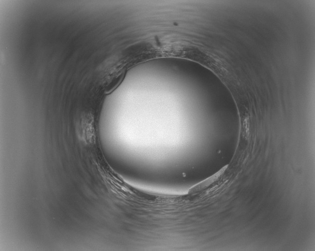 X0000056020963200508221516