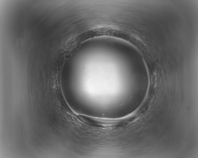 X0000056020965200508221516