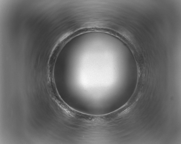 X0000056020974200508221516