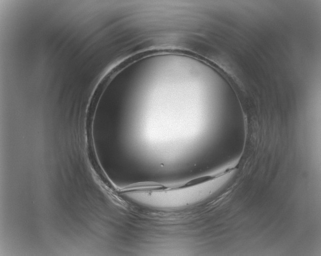 X0000056020980200508221516