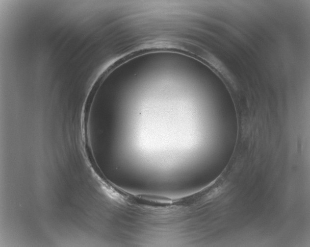 X0000056020988200508221516