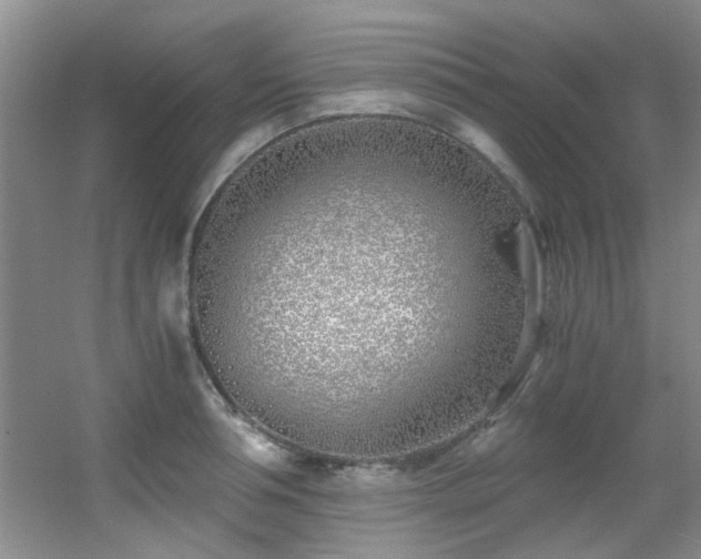 X0000056020994200508221516