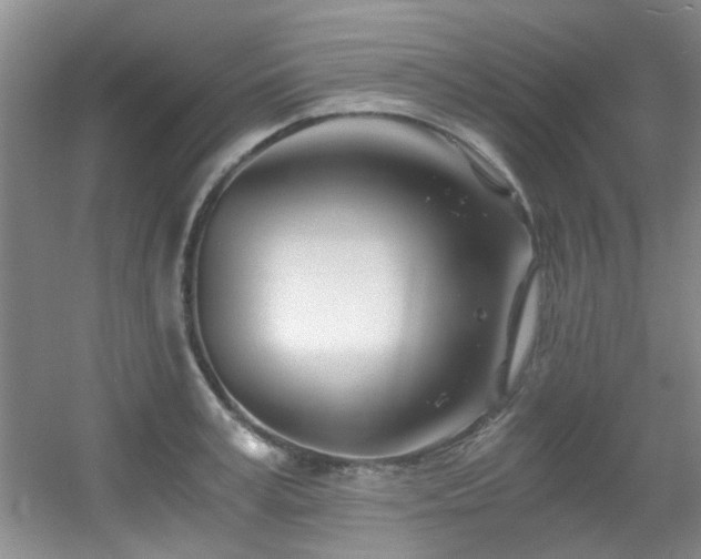 X0000056020995200508221516