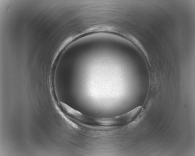X0000056020997200508221516