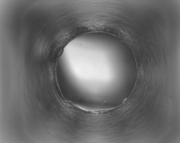 X0000056021012200508221515