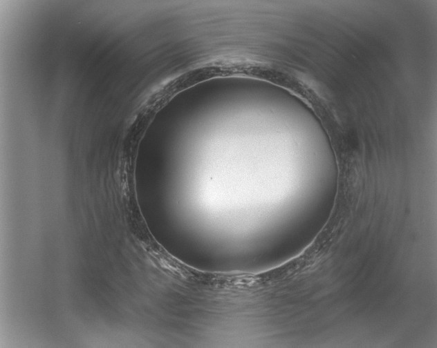 X0000056021016200508221515