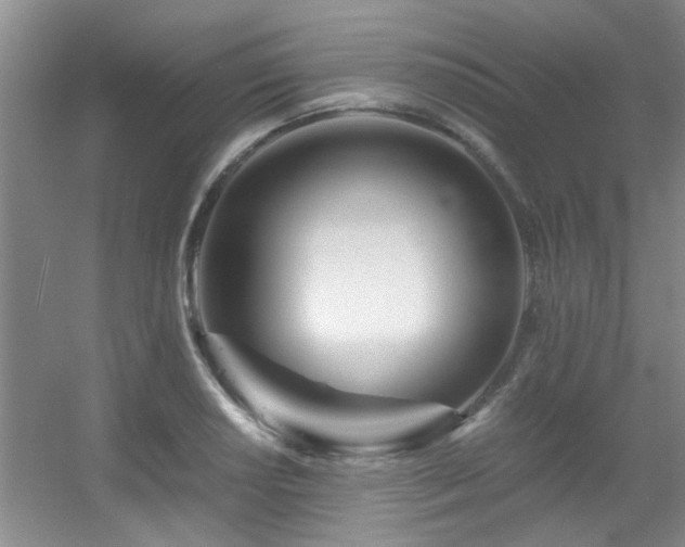 X0000056021034200508221515