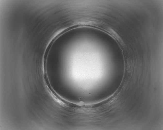 X0000056021036200508221515