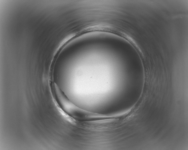 X0000056021042200508221515