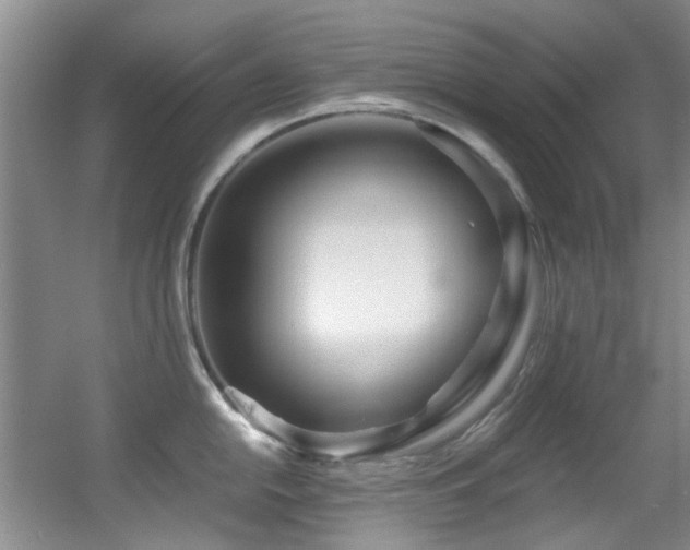 X0000056021054200508221516