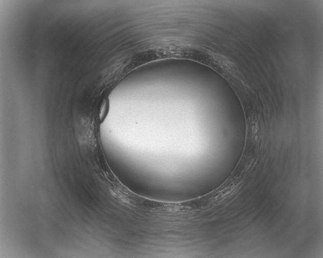 X0000056021060200508221515